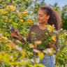 Секатор GARDENA PREMIUMCUT FLEX 12242-90.000.00